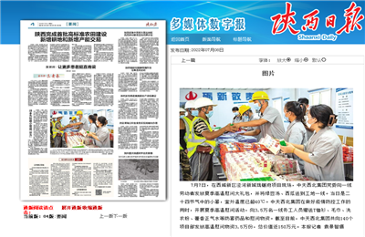 918博天堂西北集团珑樾府项目高温慰问——《陕西日报》